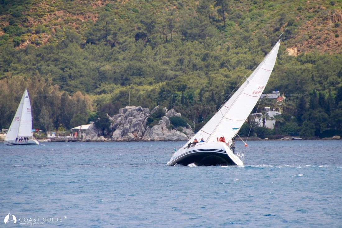 width=500