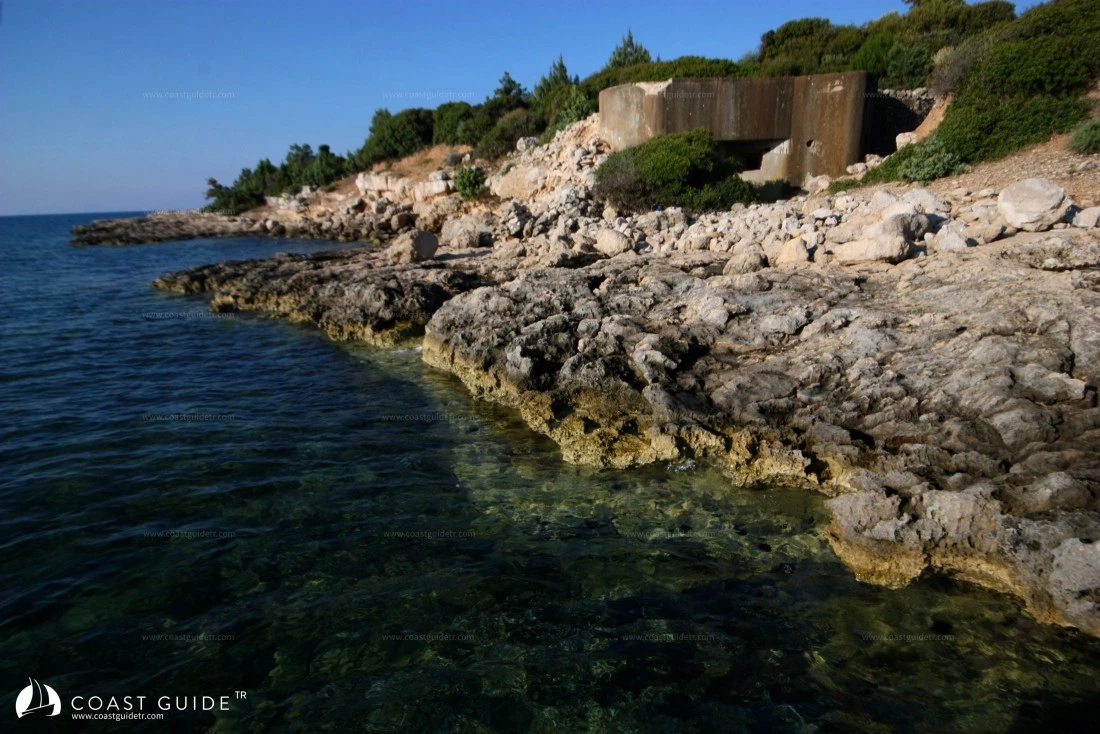 Büyük Gevil - Fotoğraf 3