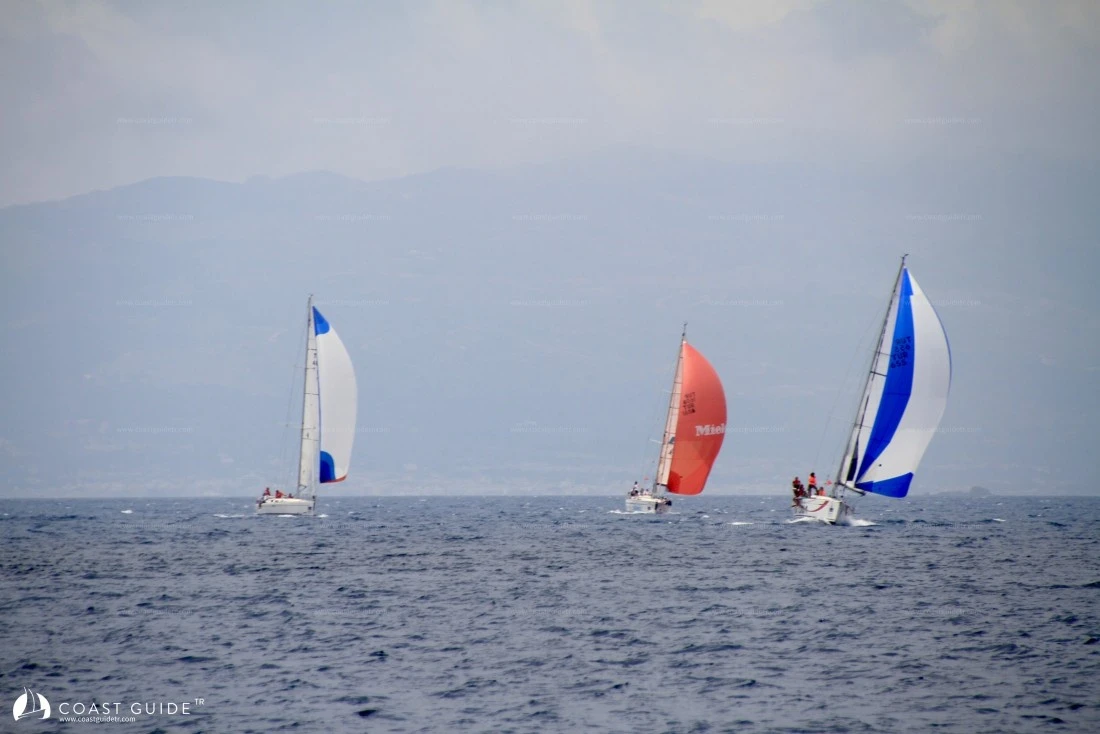 width=500