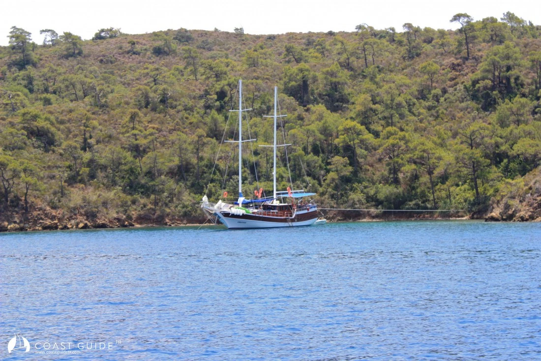 Babuş Bükü - Fotoğraf 4