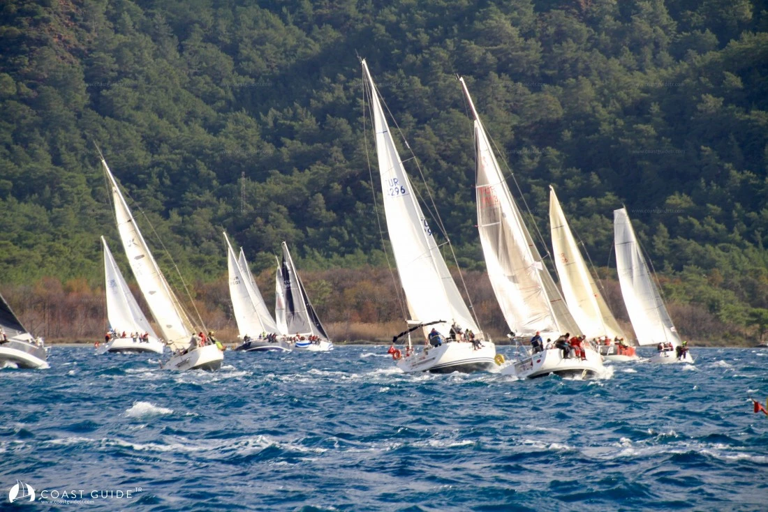 width=500