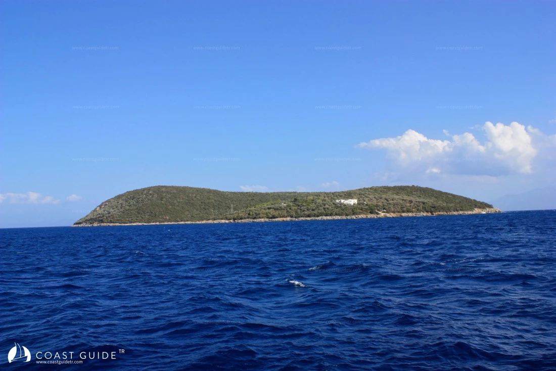 Orak Island - Photo 4