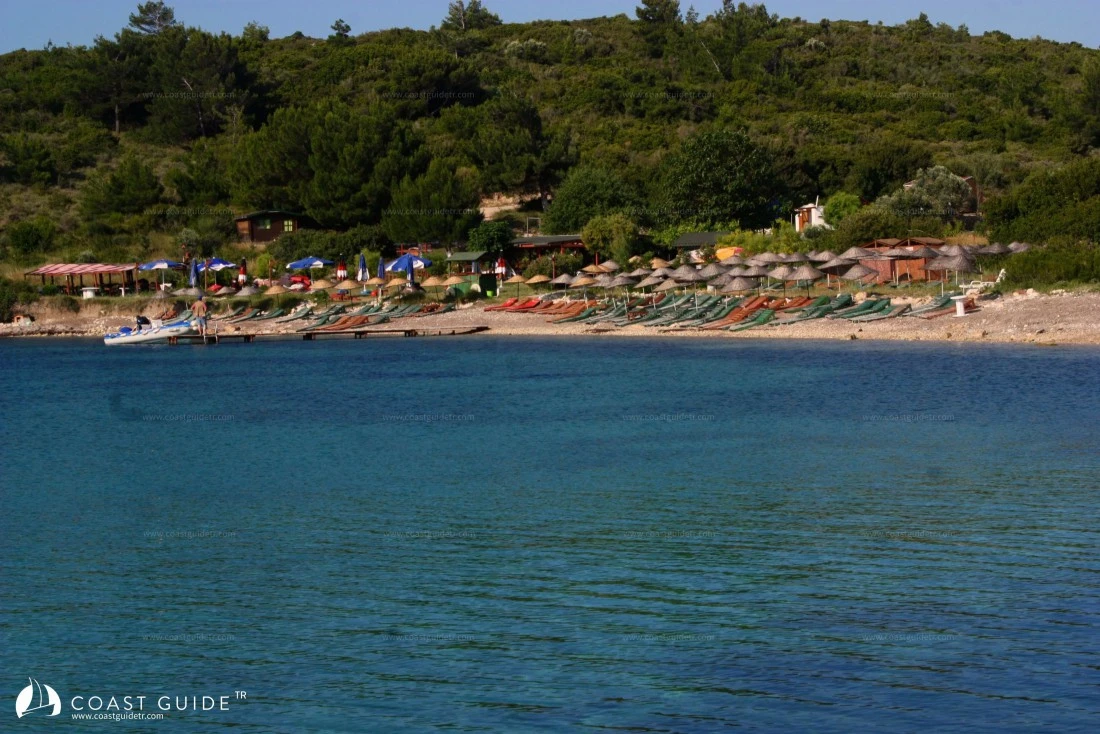 Denizyıldızı(Bodrum) Koyu - Fotoğraf 2