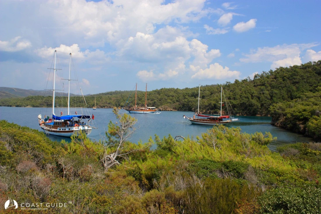 Uzun Liman - Fotoğraf 2