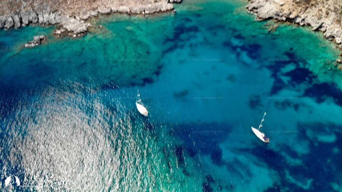 Arap Island - Photo 1