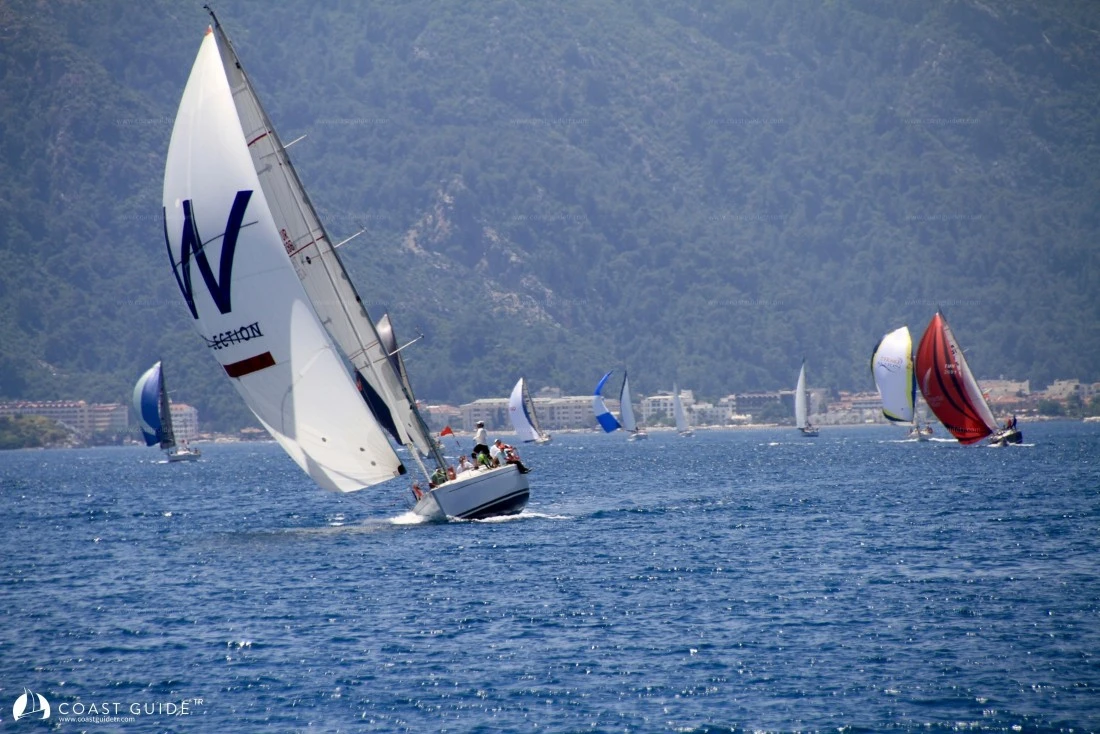 width=500