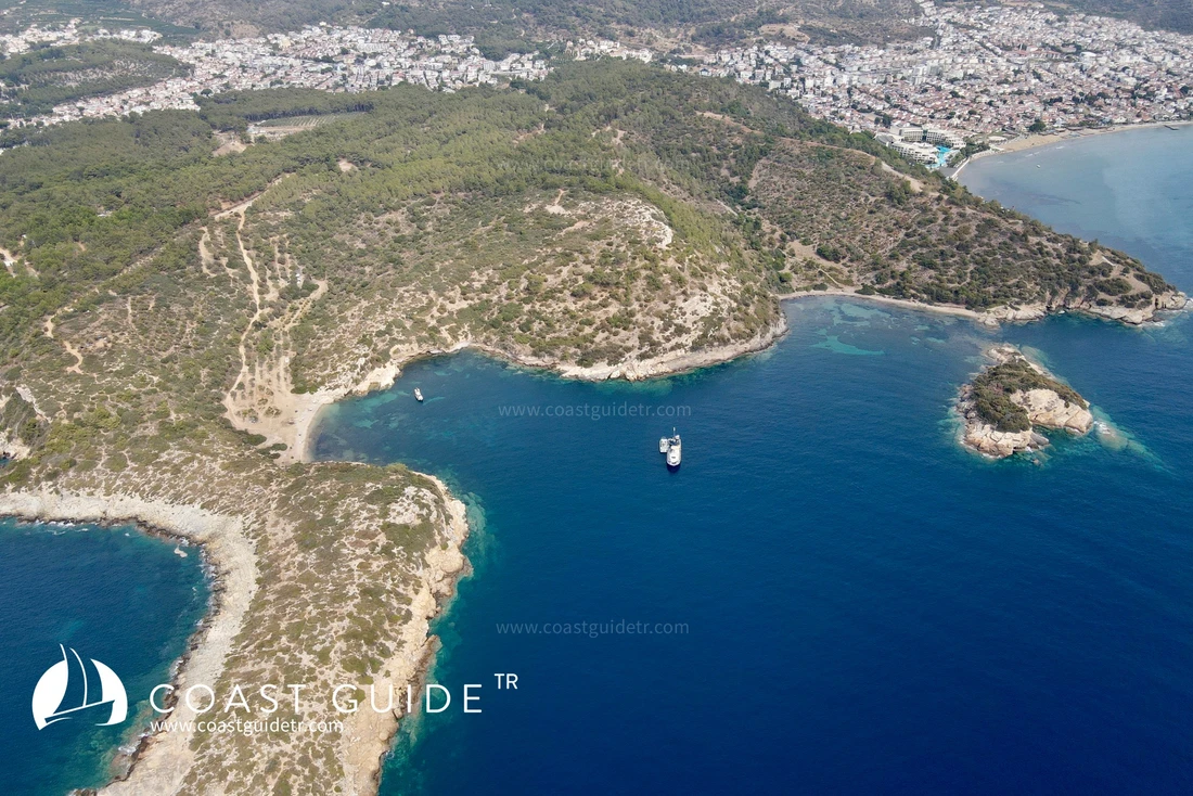 Çam Limanı (Özdere)