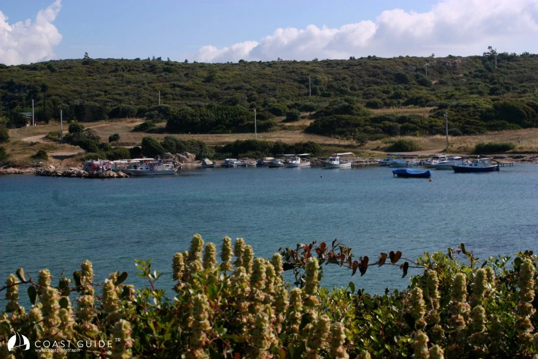 Demircili Limanı - Fotoğraf 1