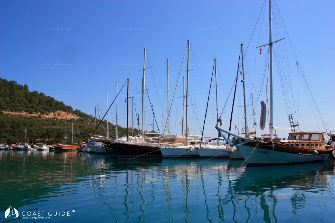 Torba - Photo 3