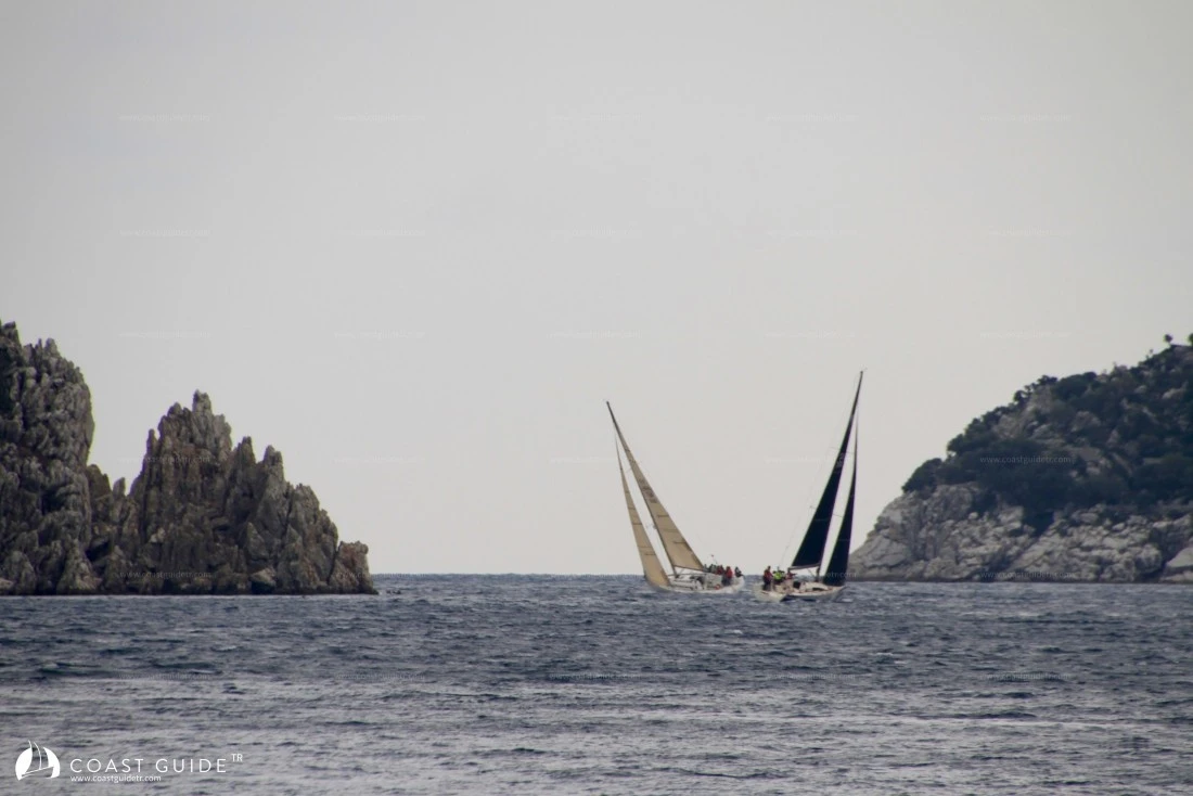 width=500