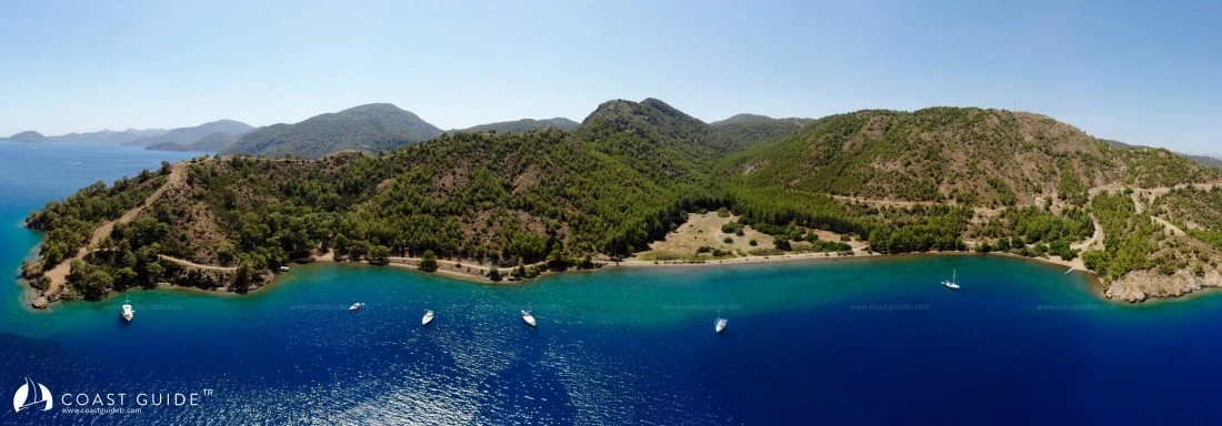 Killebükü