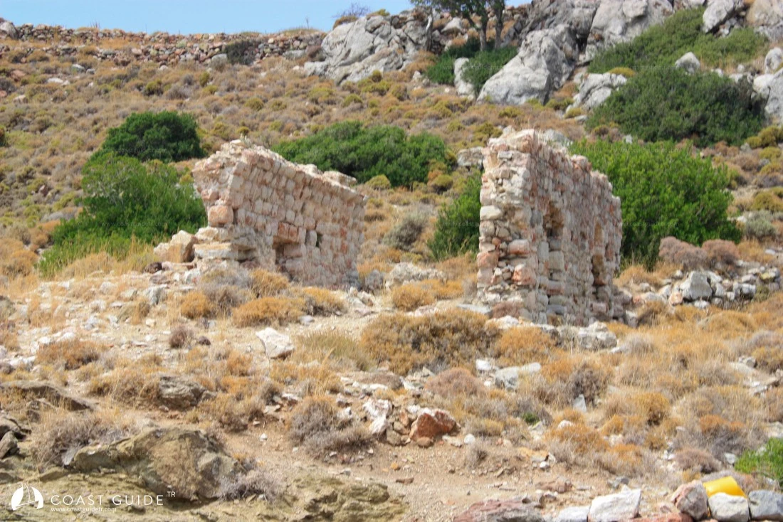 Tavşanbükü - Fotoğraf 3