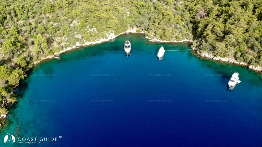 Aşılık Koyu - Fotoğraf 1