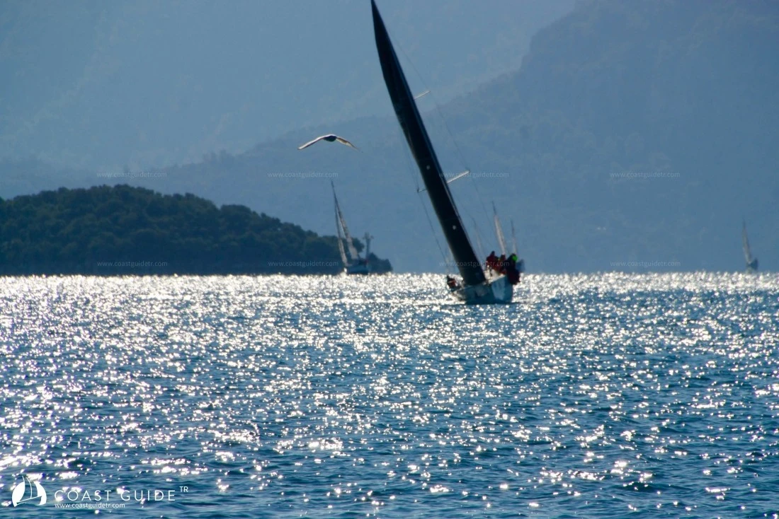 width=450