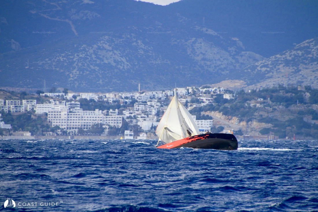 width=500