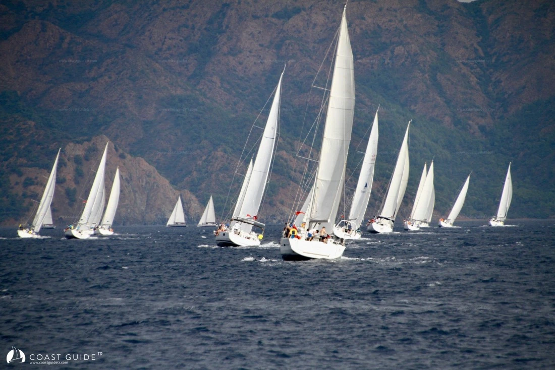 width=500