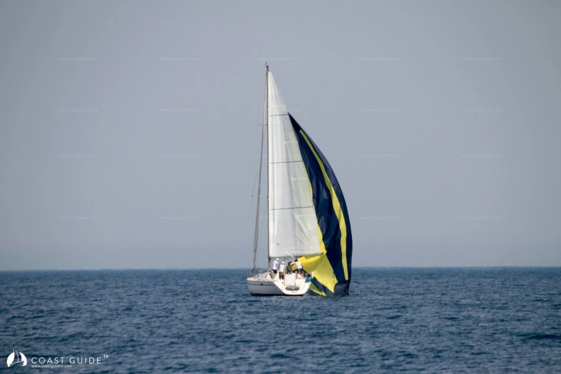 width=500