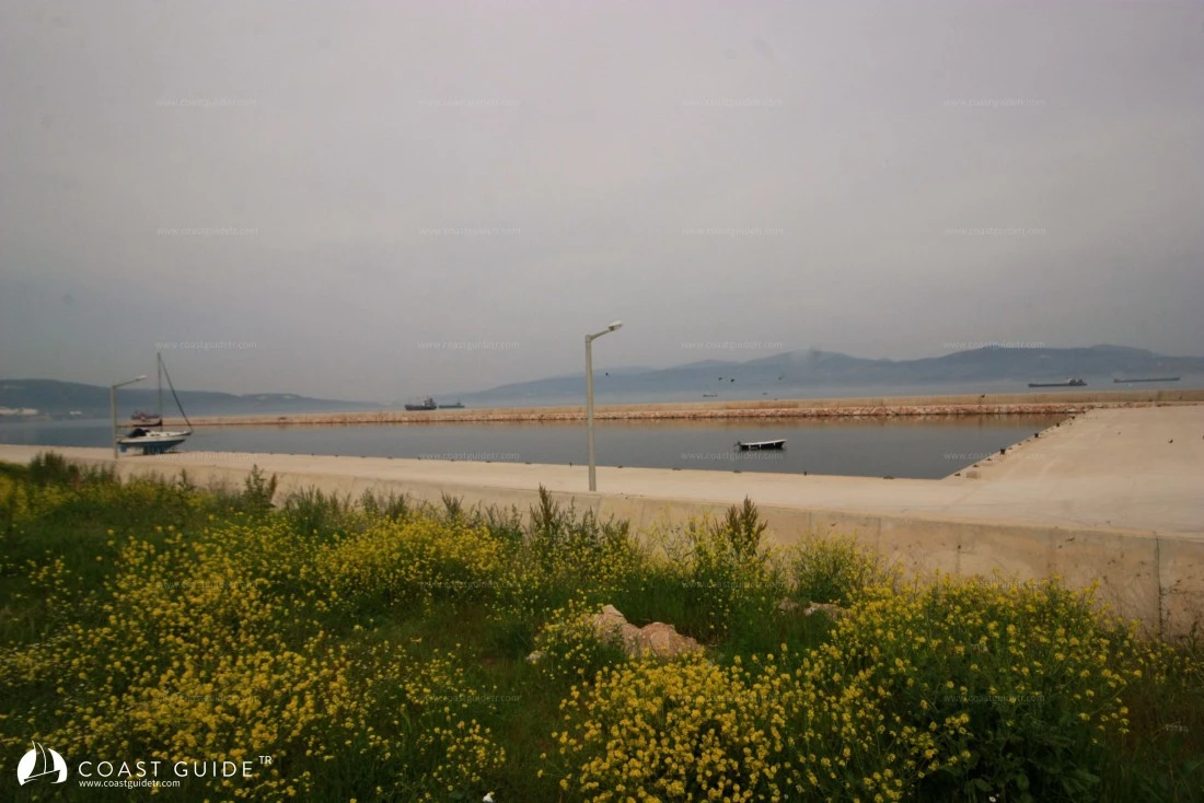 Bandırma Barınağı - Fotoğraf 4