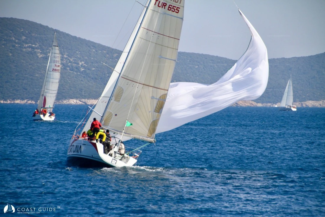 width=500