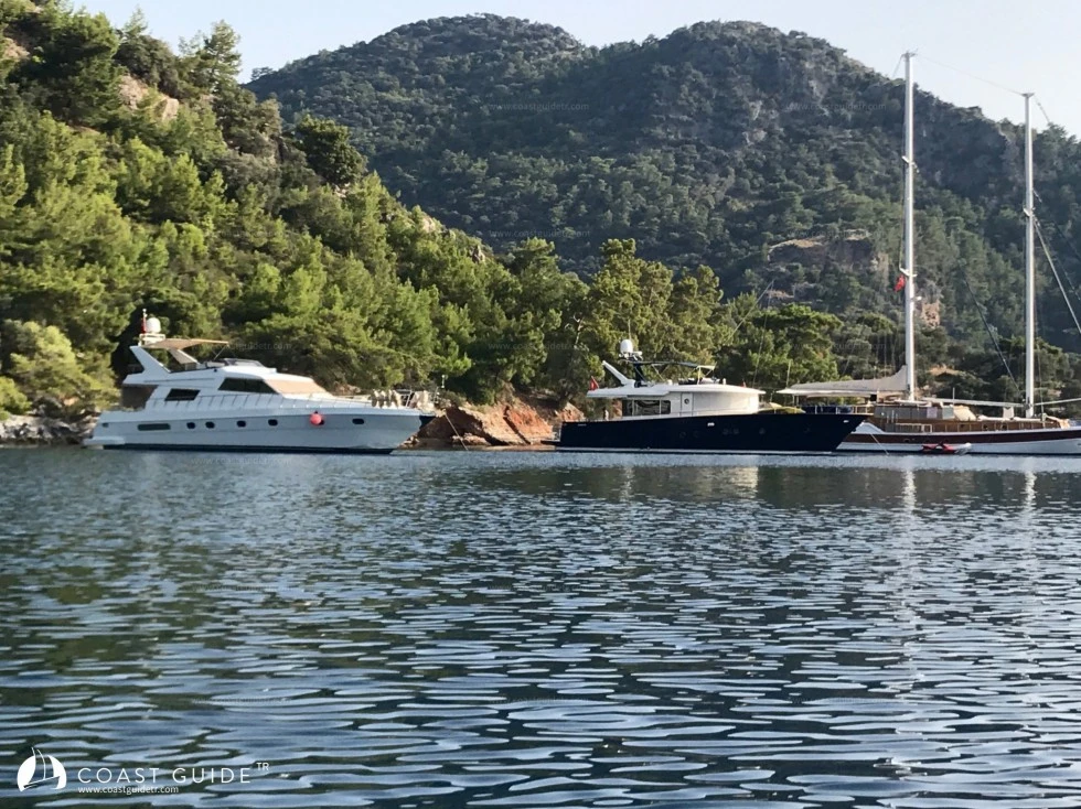 Aşılık Koyu - Fotoğraf 4