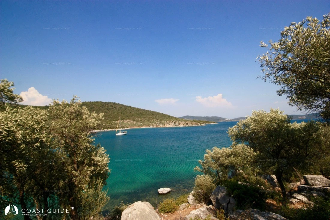 Harputlu Koyu - Fotoğraf 4