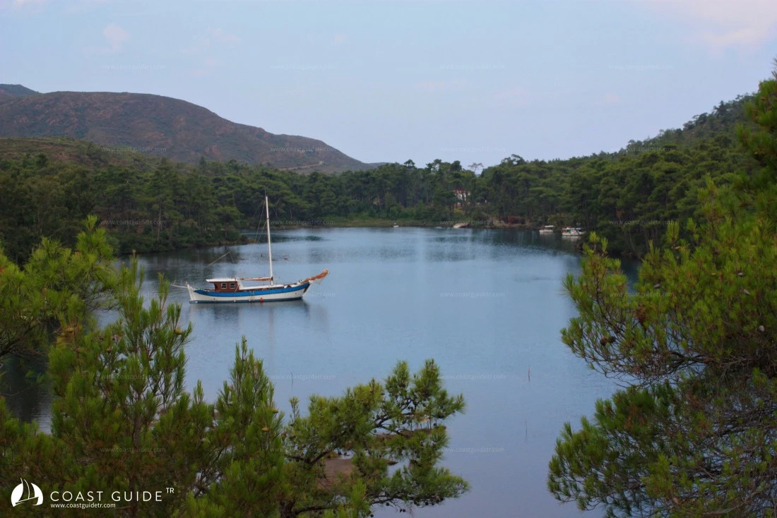 Löngöz - Fotoğraf 1