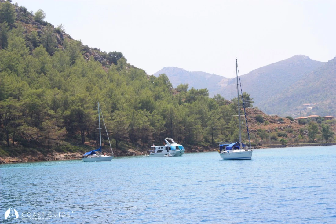 Sığ Liman - Fotoğraf 3