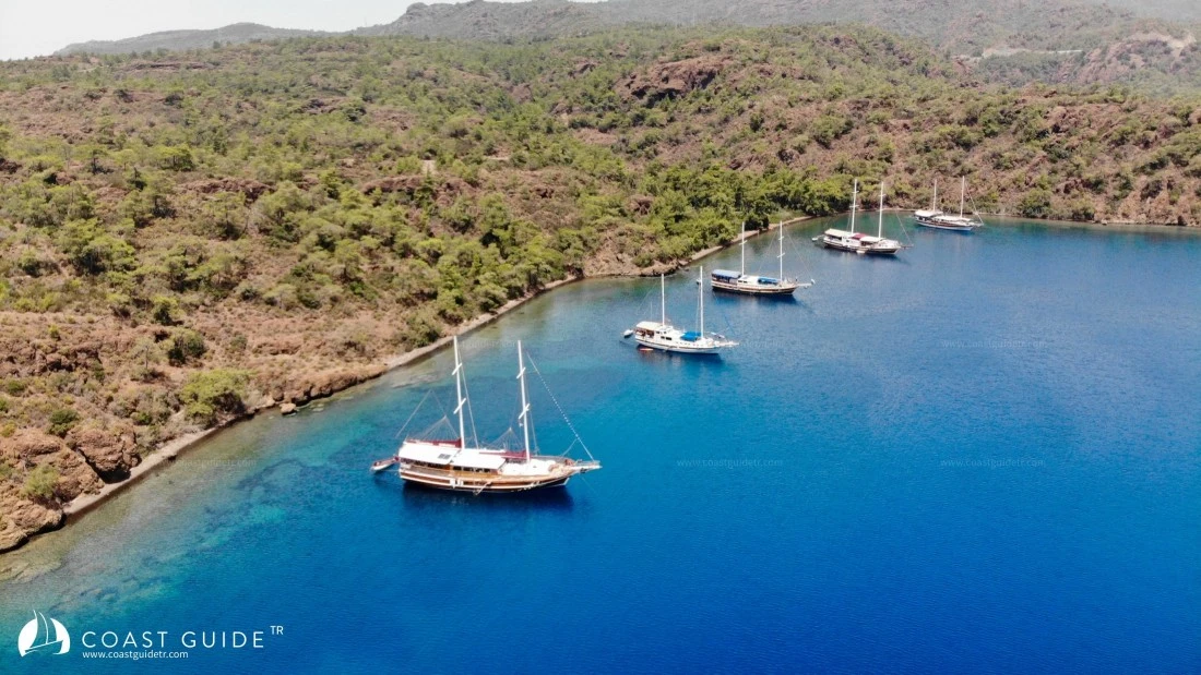 Çamurlu Koy - Fotoğraf 4