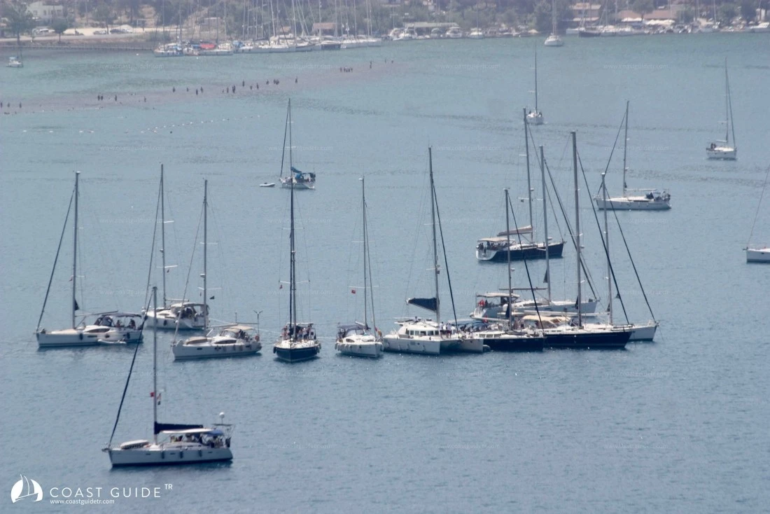 width=450