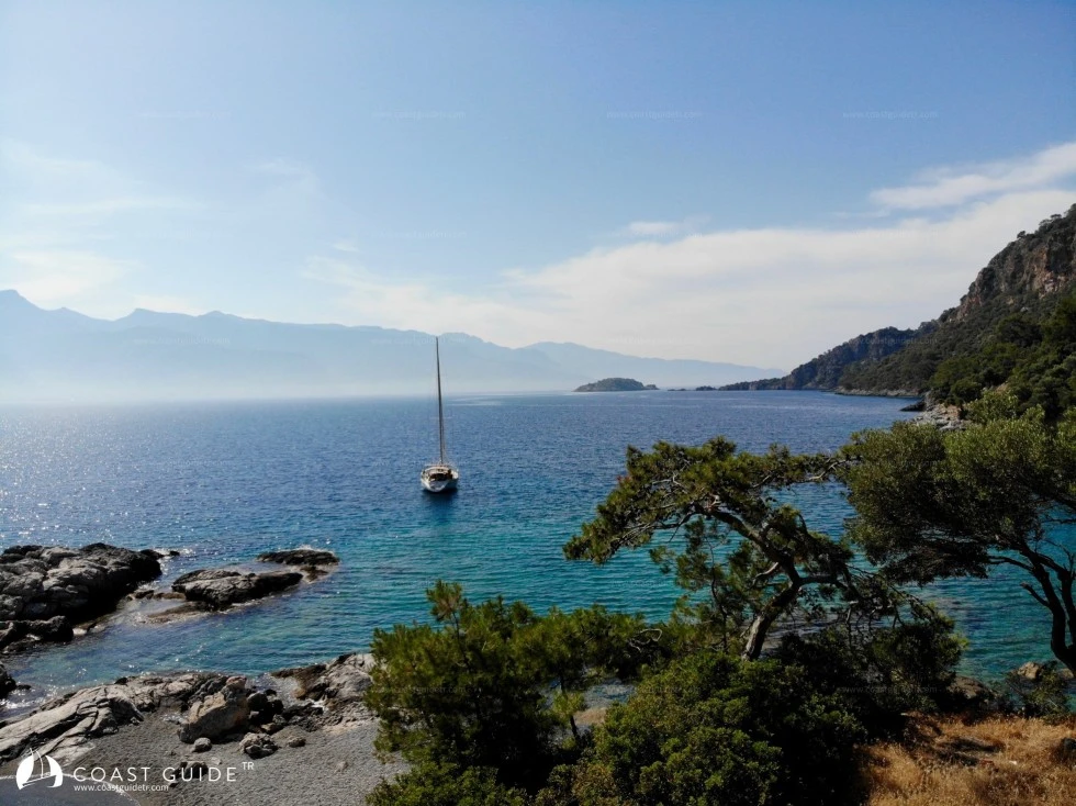 Darboğaz Koyu - Fotoğraf 3