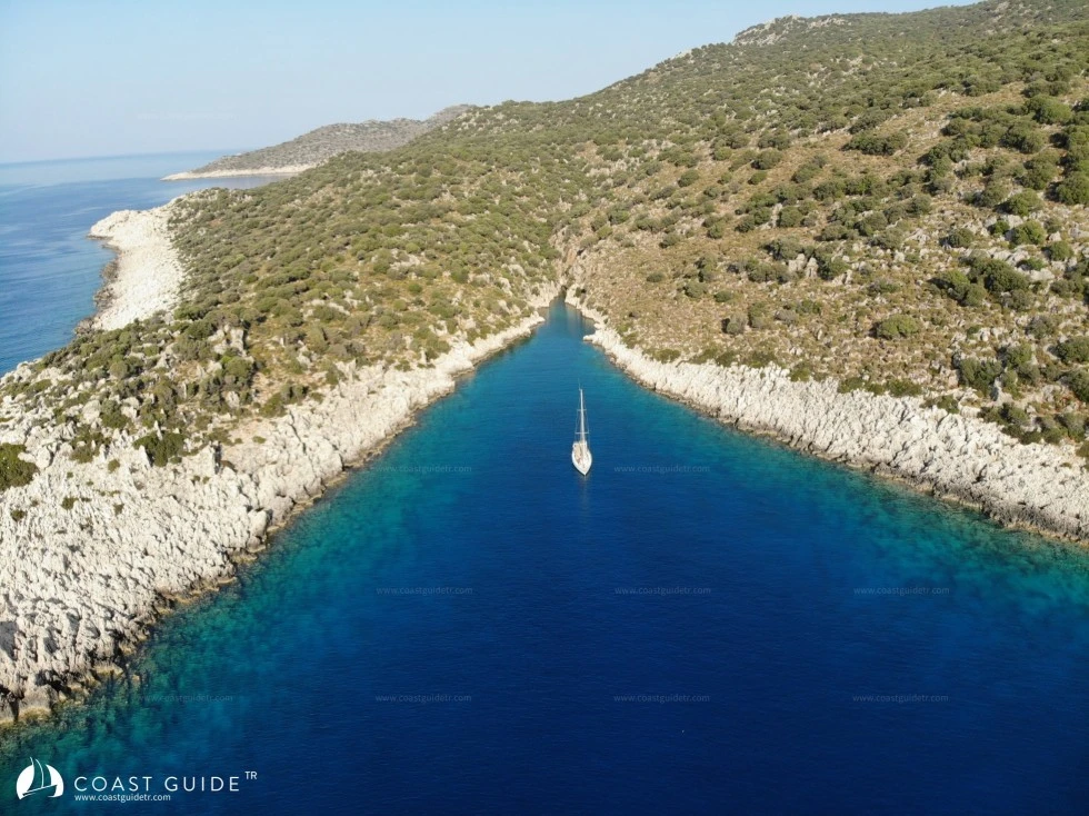 width=600