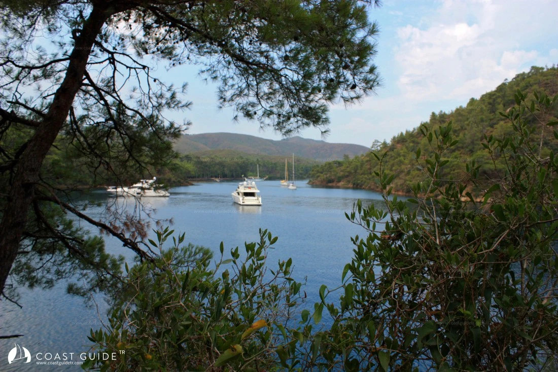 Löngöz - Fotoğraf 3