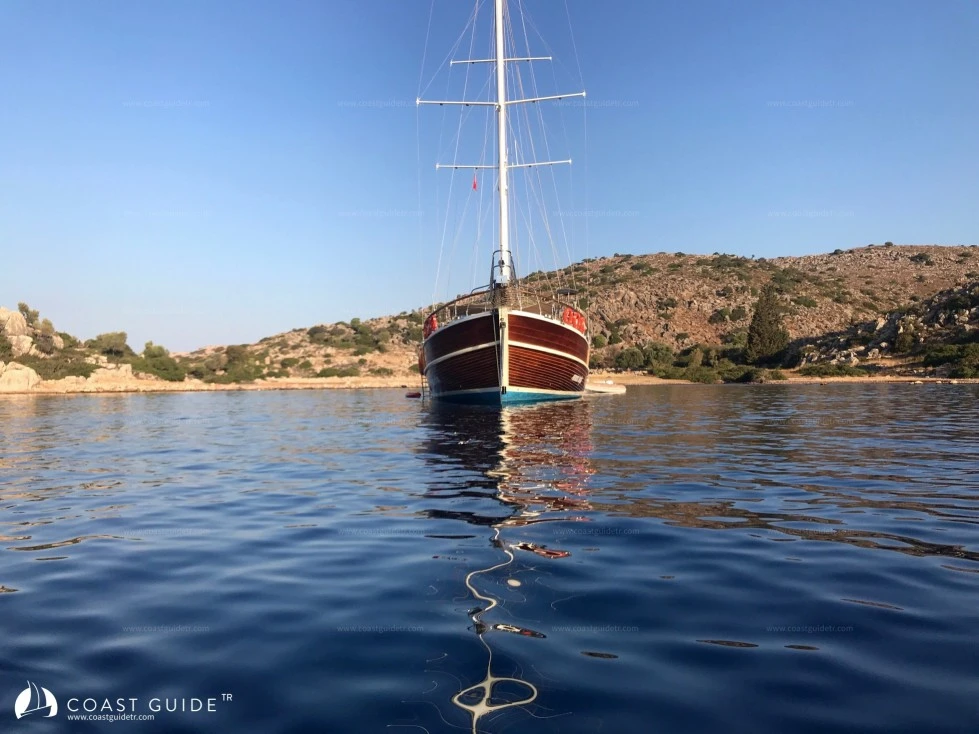 Mercimek Koyu - Fotoğraf 2