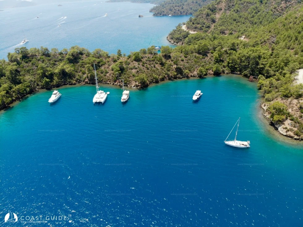 Eğri Çam (İnceburun) Koyu - Fotoğraf 3