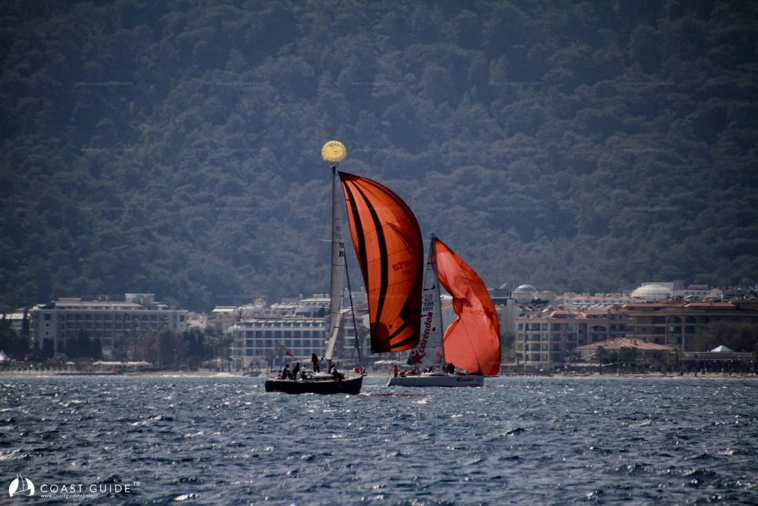 width=800