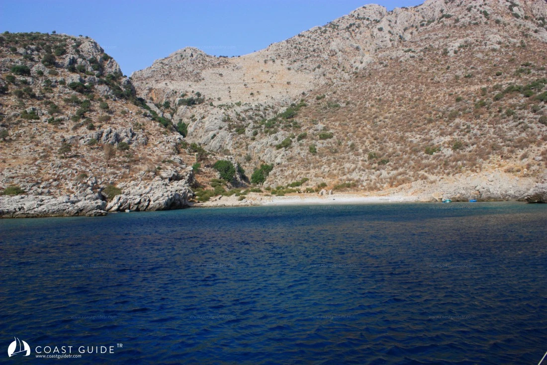 Arap Island - Photo 4