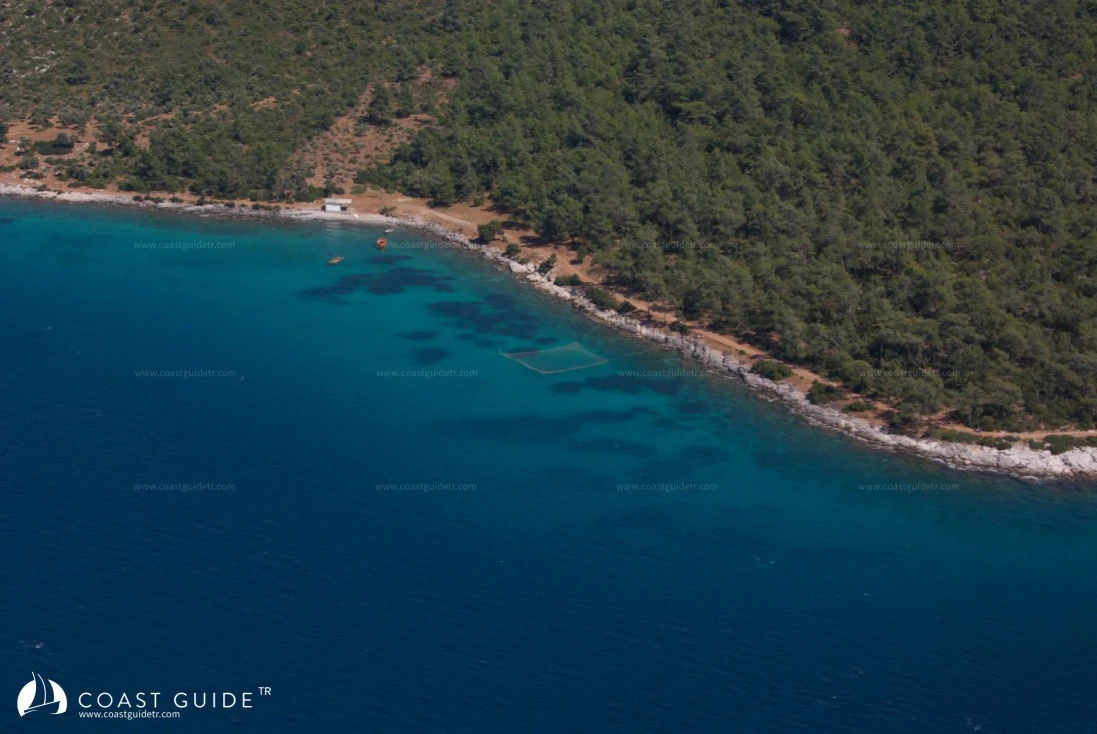 Ardıçlıgil Koyu - Fotoğraf 2