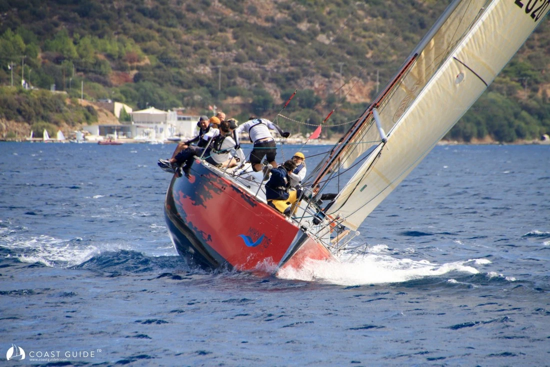 width=500
