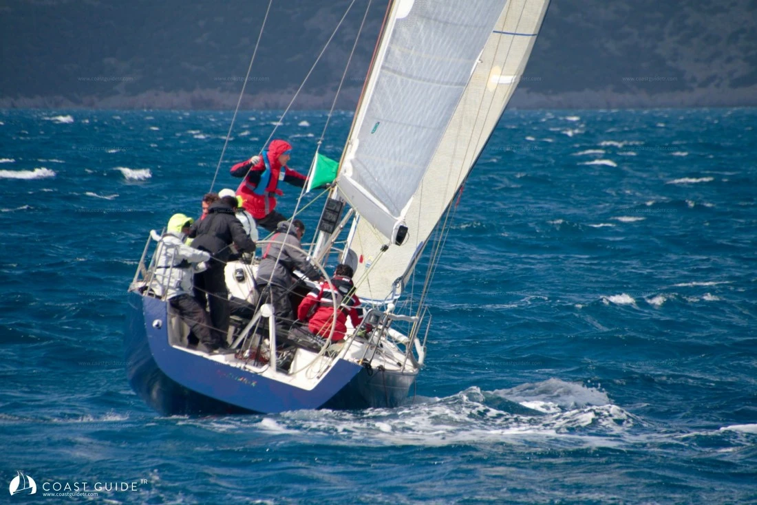 width=500
