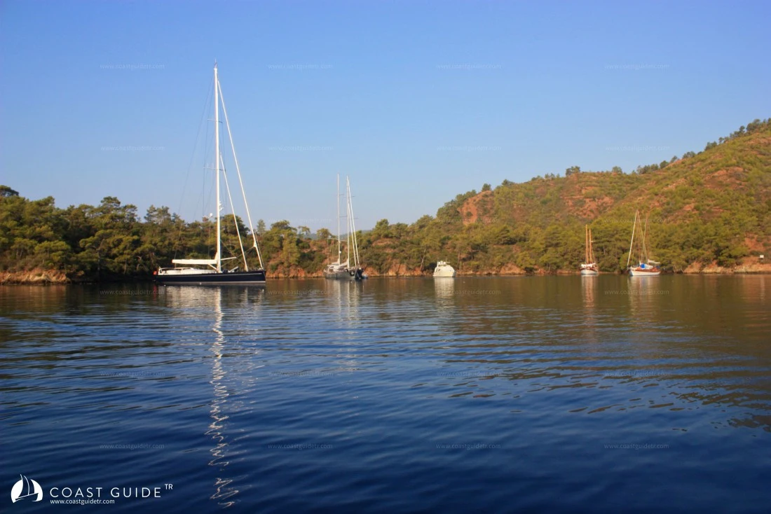 Eğri Çam (İnceburun) Koyu - Fotoğraf 2