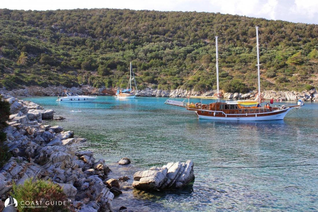 Orak Island - Photo 3