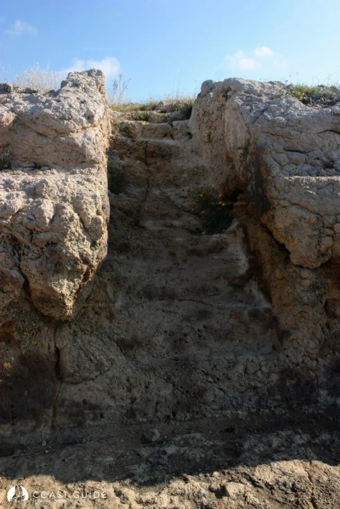 Denizyıldızı(Bodrum) Koyu - Fotoğraf 3