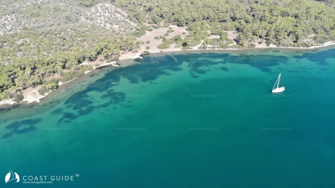 Harputlu Koyu - Fotoğraf 1