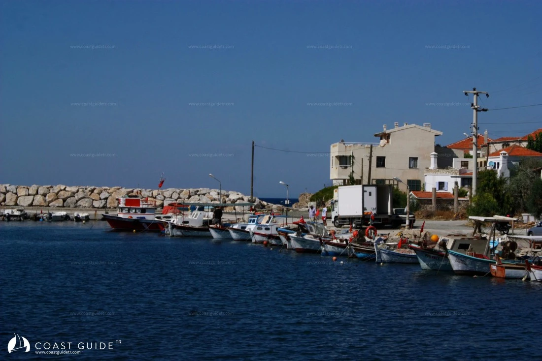 Yeni Port - Photo 2