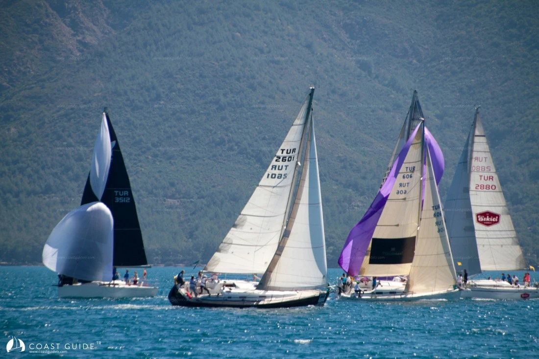 width=500