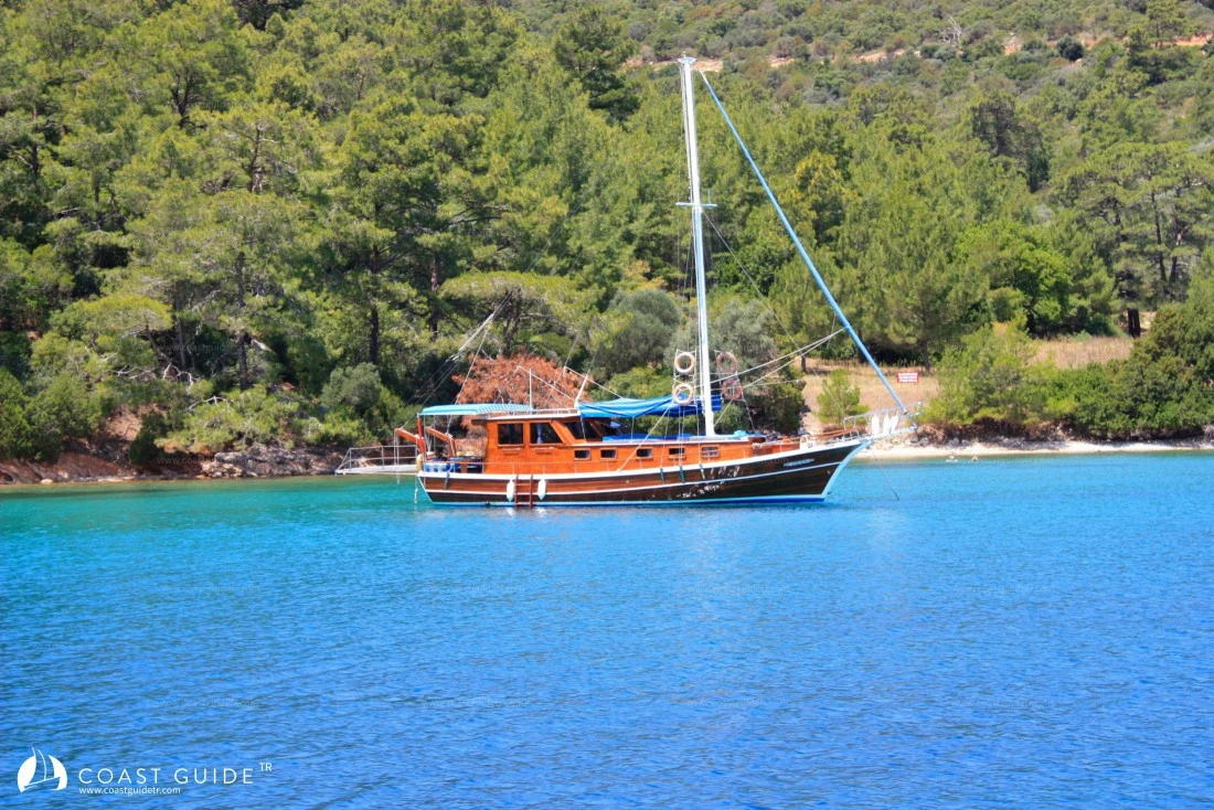 Demir Liman - Fotoğraf 2