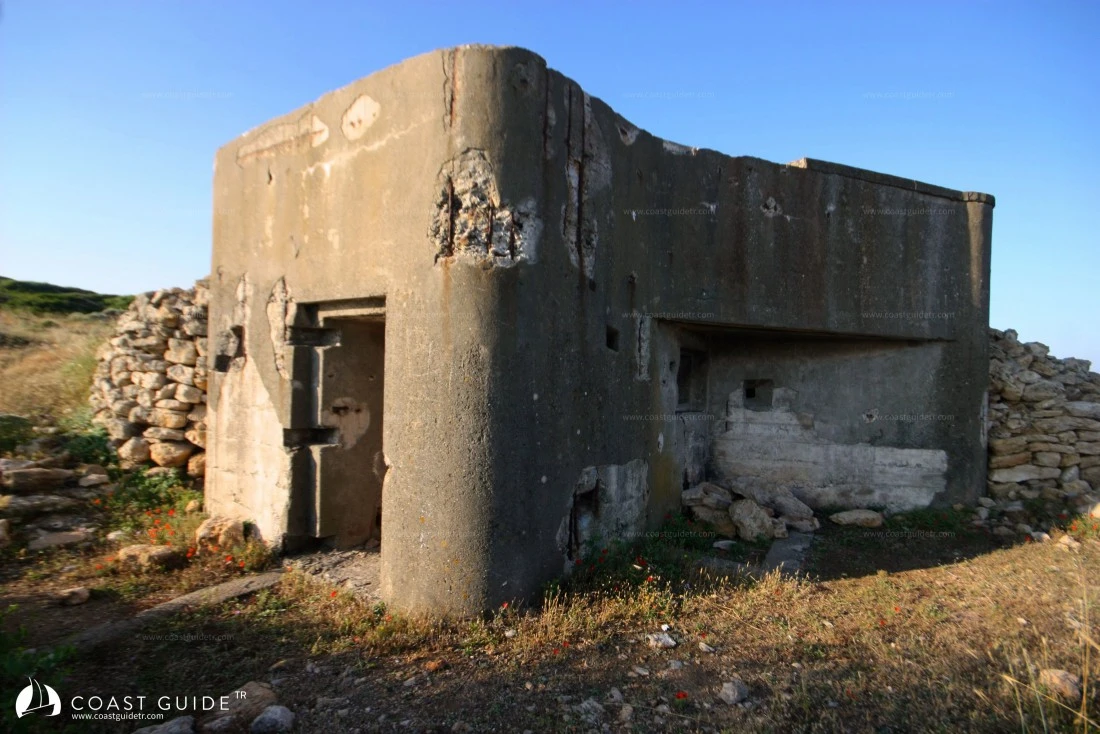 Küçük Gevil - Fotoğraf 3