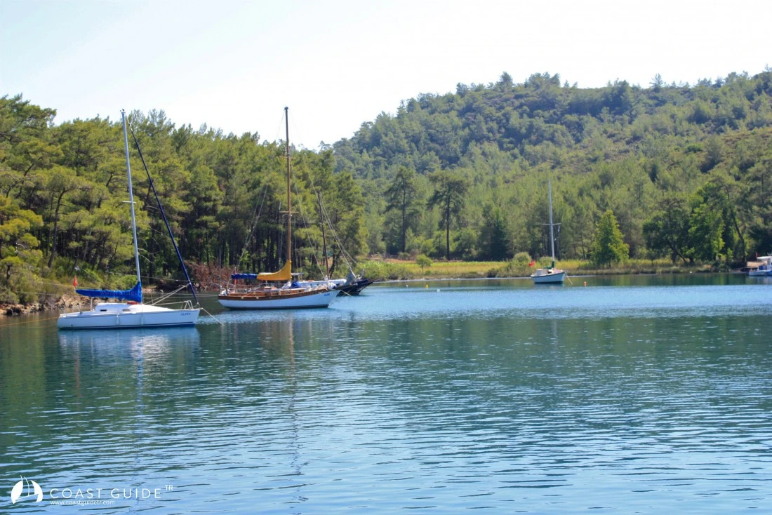 Hırsız Koyu - Fotoğraf 3