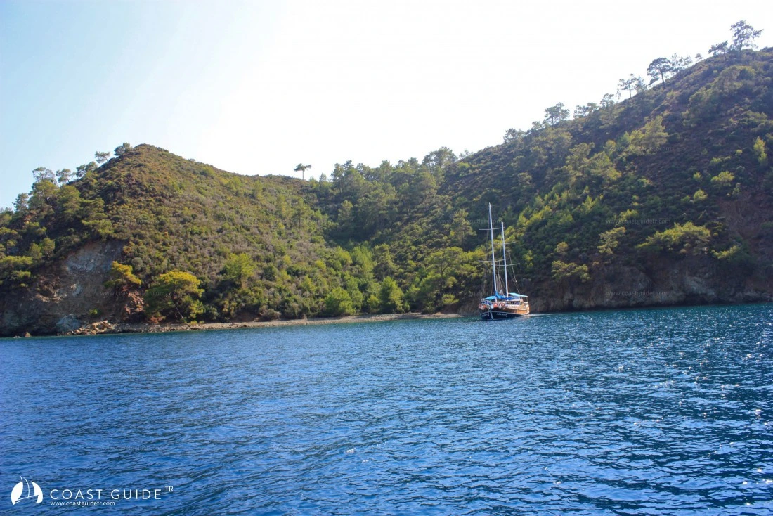 Çığlik Koyu - Fotoğraf 2