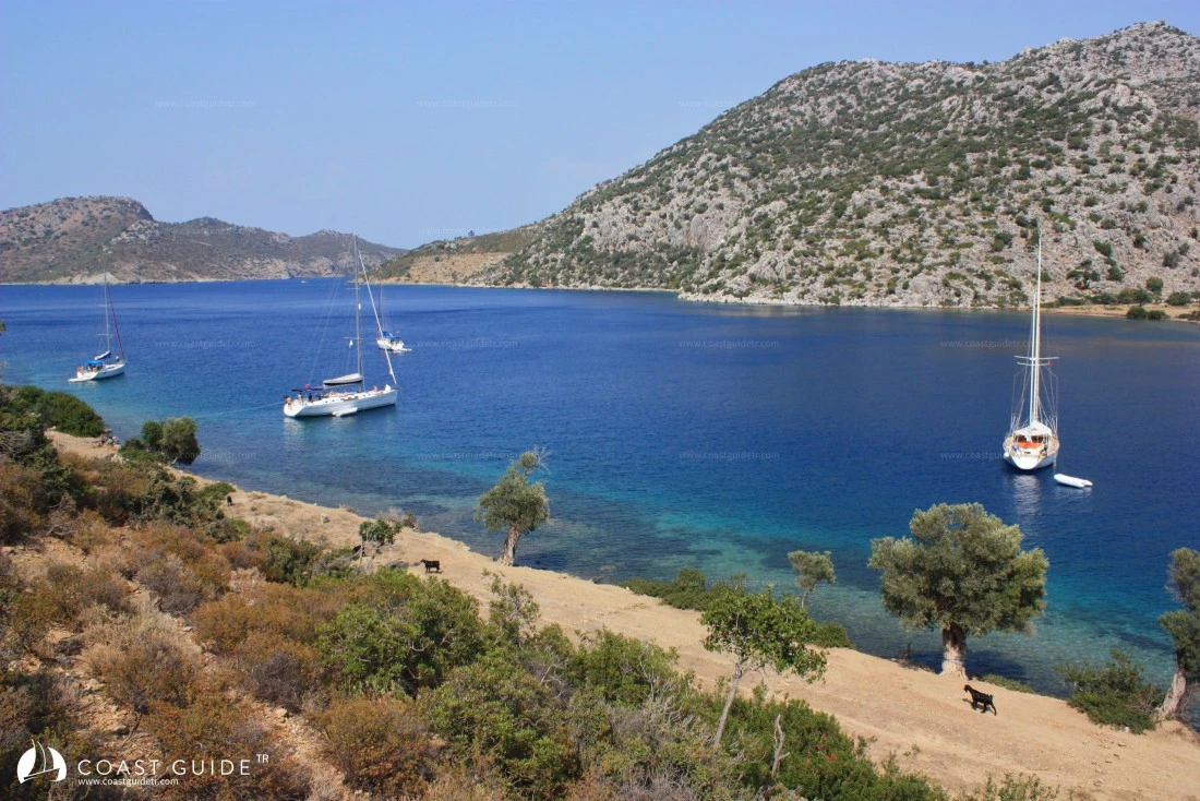 Kocabahçe - Fotoğraf 1